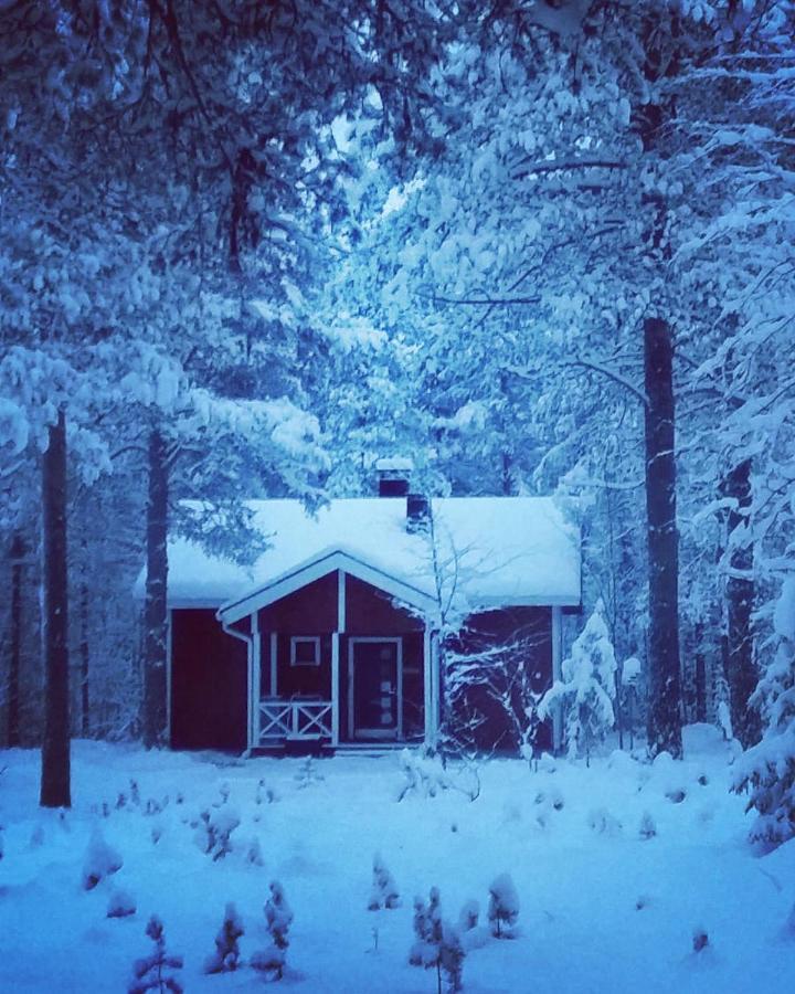 Maentymajat Villa Äkäslompolo Oda fotoğraf
