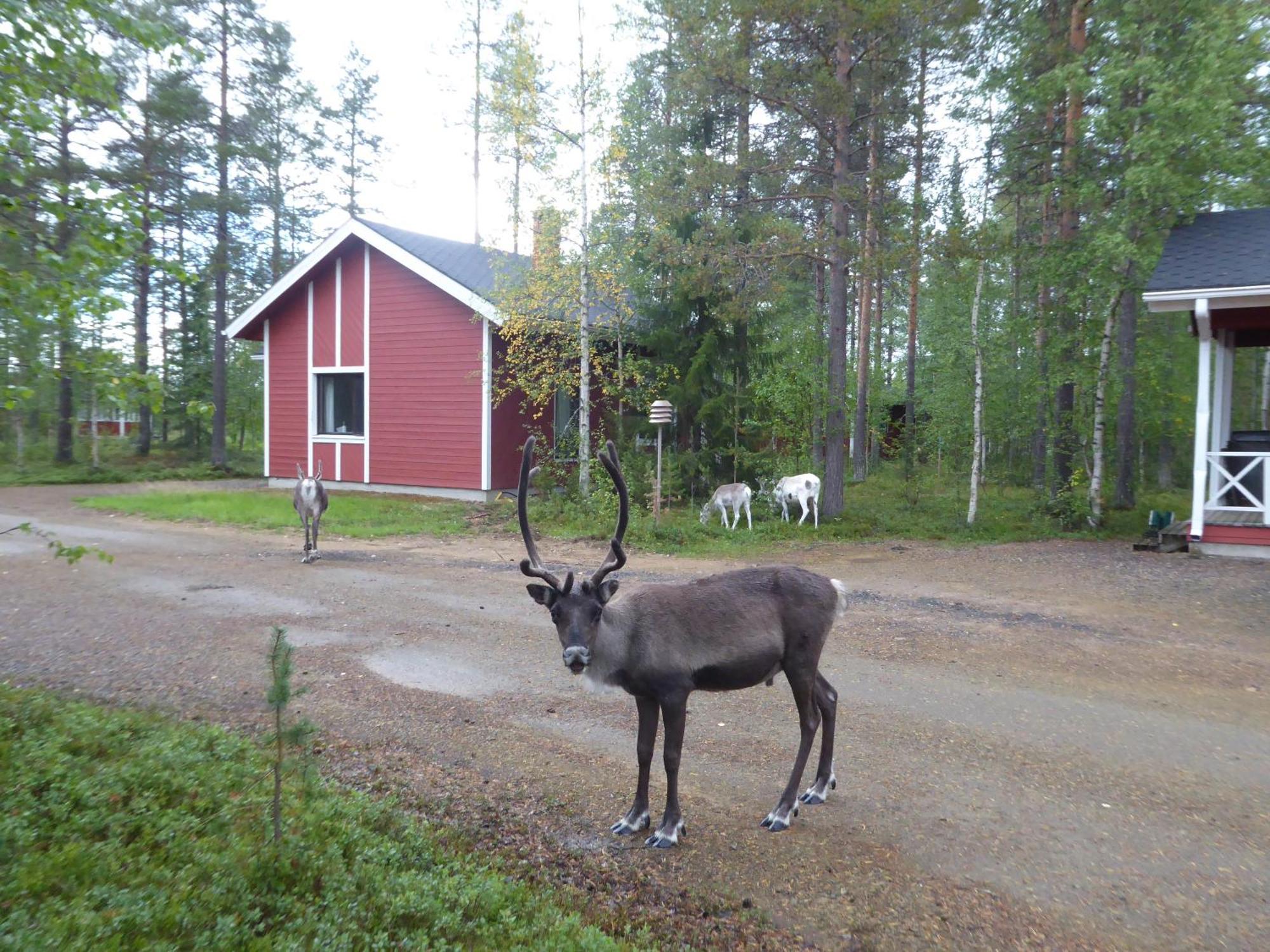 Maentymajat Villa Äkäslompolo Oda fotoğraf